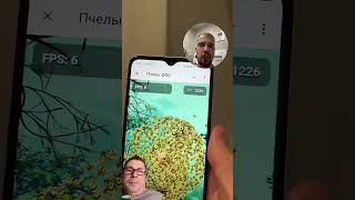 Зайцы не пчёлы 🐝