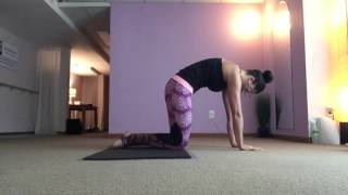 Unconventional Cat Pose Flow For Focused Shoulder Mobility