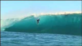 Relentless Revolution DVD trailer 2