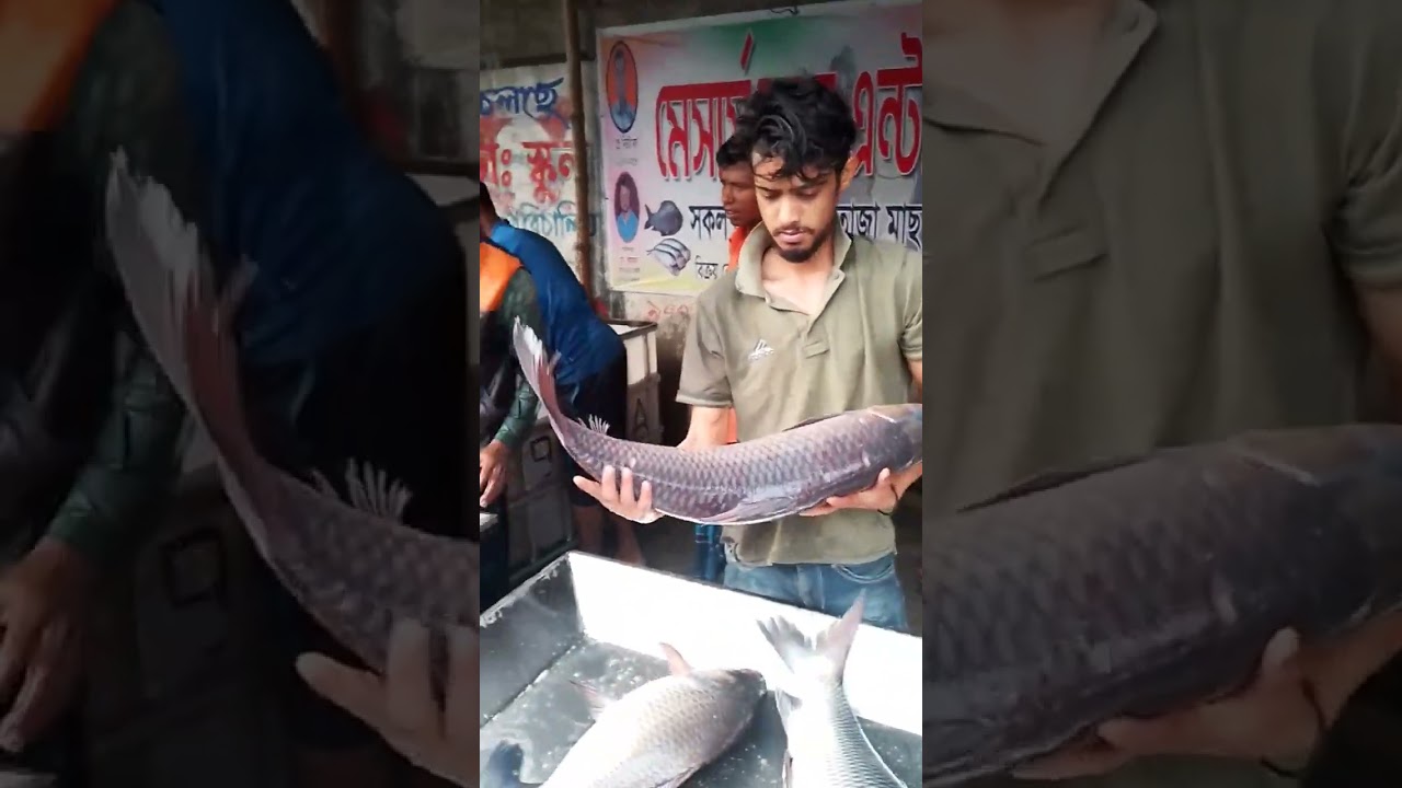 Big fish modho badda masar arot 