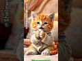 Doa Sebelum Tidur - Animasi Kucing Lucu #doa #doasebelumtidur #kucing  #kucinglucu #animasikucing