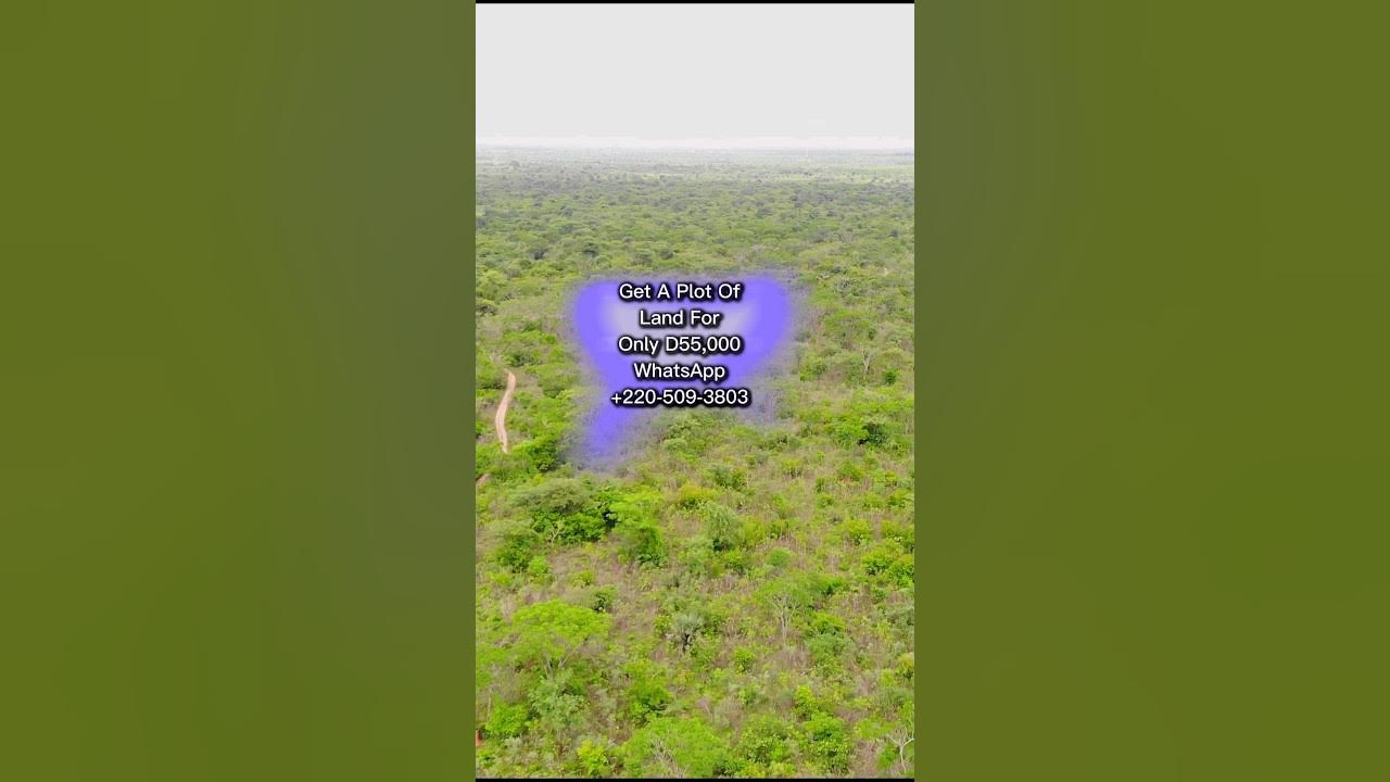 Affordable Lands For Sale At Pirang In The Gambia YouTube