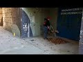 Militarne Zawody Nosework w poszukiwaniu jesieni, Kinga i Mango, przedmioty, 19.10.2025 Piła 