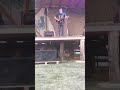Florin Grajdeanu - 1