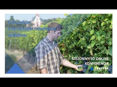 Videó: Milyen növények károsítják a darazsak?