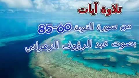 سورة التوبة 60_ 85 عبد الرؤوف الزهراني