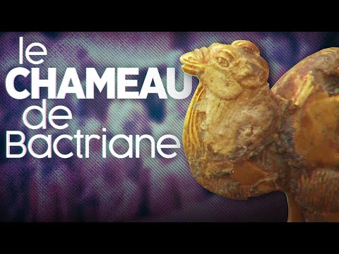 Vidéo: Où est le chameau de Bactriane trouvé classe 6ème ?