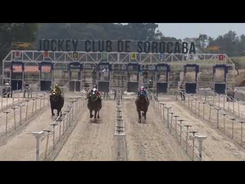 Vídeo: Torneio Especial Haras Portofino - Grand Prix 2026