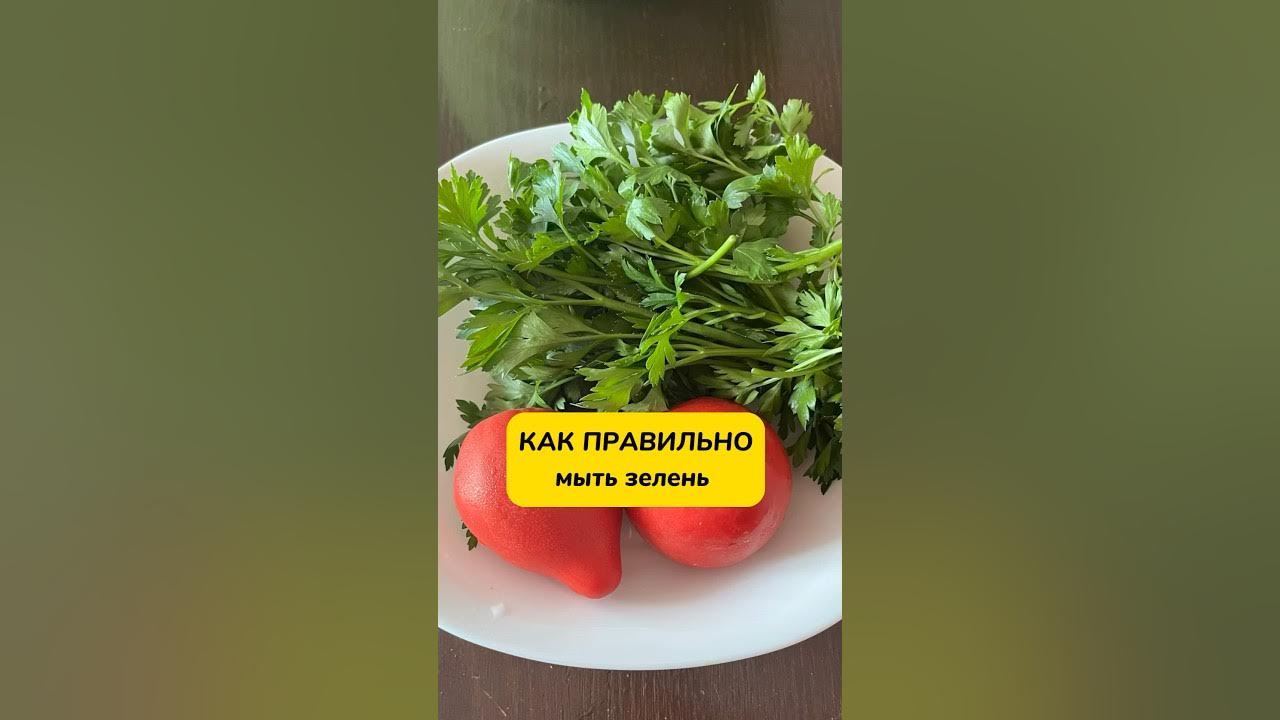 Вьющуюся зелень как пишется правильно. Как правильно мыть зелень. как мыть зелень. зелень для мыла. сколько раз нужно мыть зелень.