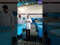 وضعیت پرورش خاویار در ایران Shorts 