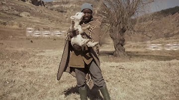 Rapport annuel 2015 de l