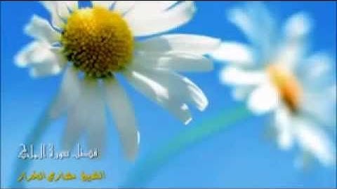 فضل سورة الملك الشيخ مشاري الخراز