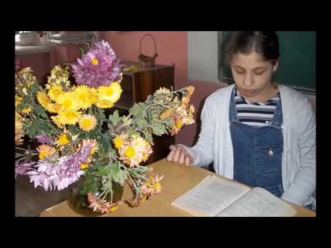 კორიდა ნ დუმბაძე