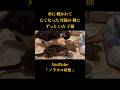 『車に轢かれて 亡くなった母猫の側に ずっといた子猫②【後編】』 #cat #保護猫活動 #保護猫 #子猫保護 #野良猫 #catrescue #rescuecat #ノラネコ屋敷