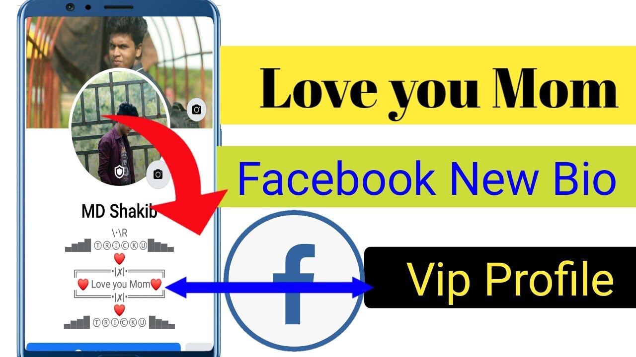 2020 Facebook Bio VIP Profile New Tips and Trick