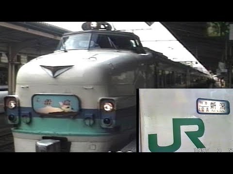 乗車口案内板 特急 雷鳥 新潟 大阪 号車板 鉄道部品 廃品 放出品 鉄道古物 乗車口案内板 特急 雷鳥 新潟 大阪 号車板 鉄道部品 廃品 放出品
