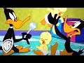 Looney Tunes em Português | Brasil | O Curso de Bebê e Mamãe | WB Kids
