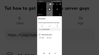 how to get msm private server