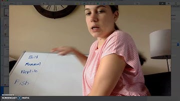 Math Lesson 3: Module 7- Grade 2