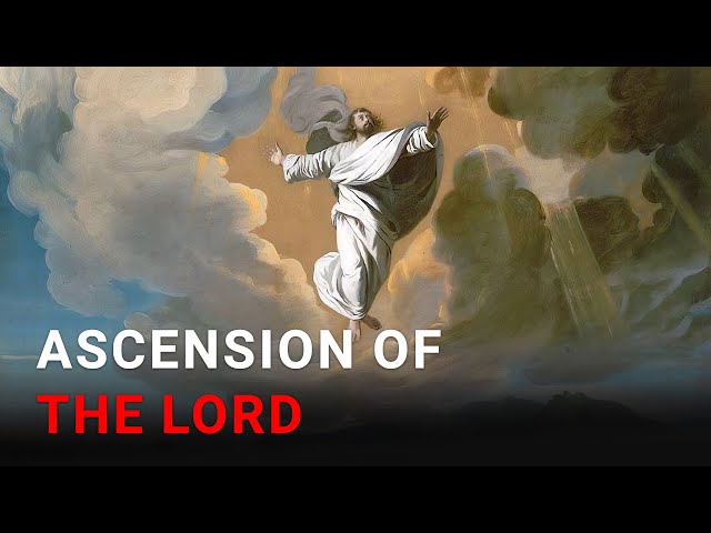 Daily IVE Homilies, May 9 2024 - Ascension of the Lord