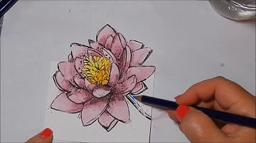 Unity Stamp Co Quick Tip Dimension and Watercolor Pencils