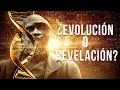 ¿Evolución o Revelación?