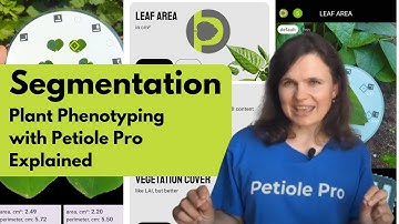 Understanding Segmentation: Plant Phenotyping with Mobile App Petiole Pro Explained