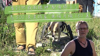 【酢漿草的超能力#10】新北三芝動保團體巴克每月燒150萬為超過500隻流浪動物找家,以庇護所之姿積極推廣送養浪浪