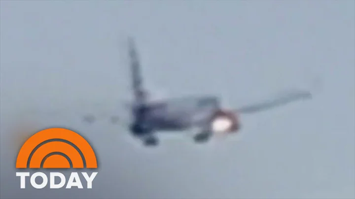 American Airlines engine catches fire after apparent bird strike