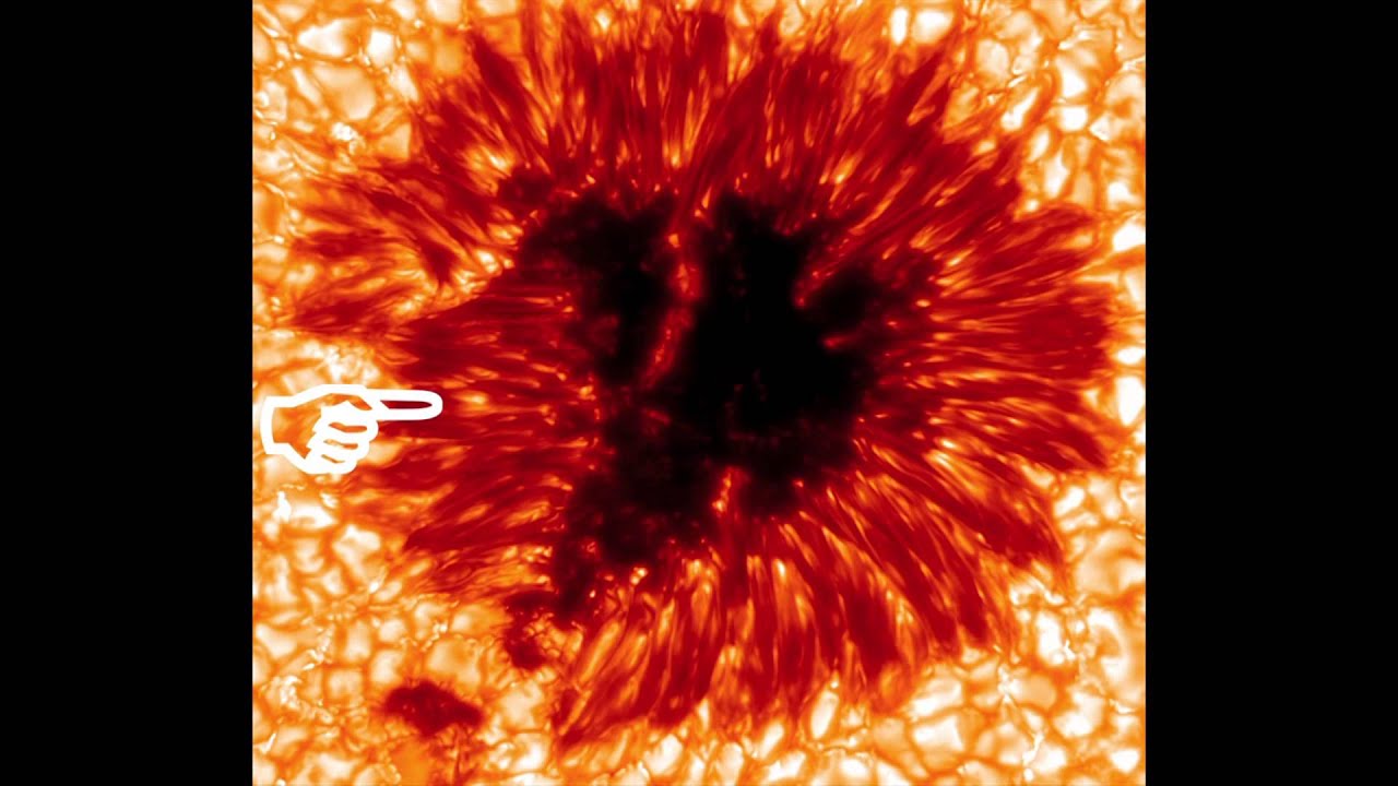 ⁣SciFri Archive: Solar Spotting