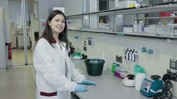 Discovering new sub-cellular worlds in 3D brain samples (2023)