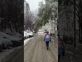 Ура, снег❄️ #ласка_холодок #хаски #siberianhusky #husky #собачьяжизнь #собака #снег #собака