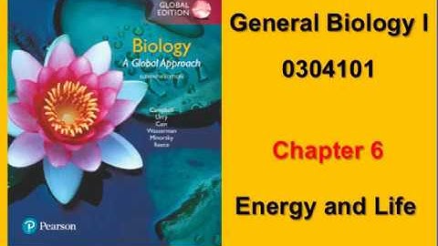 Chapter 6: Energy and Life Part I