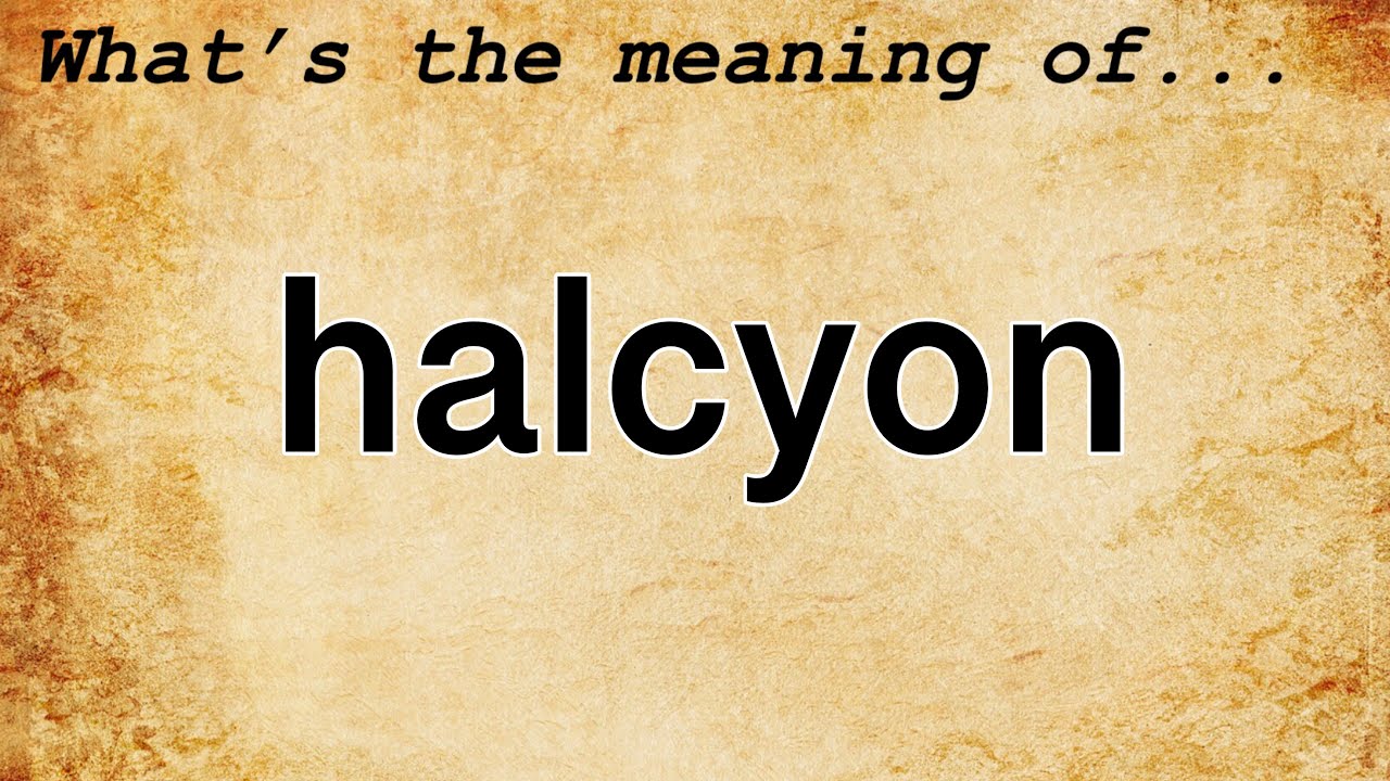 Halcyon Meaning Definition Of Halcyon YouTube