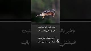 حالات_وتساب_ياطير_يالي_بالتغاريد_غنيت