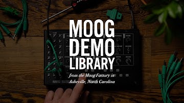 Moog Mavis | How to Use the Sample & Hold