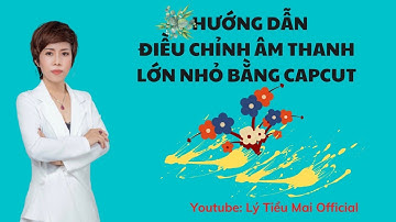Hướng Dẫn Điều Chỉnh Âm Lượng Video Lớn Nhỏ Bằng capcut - Lý Tiểu Mai