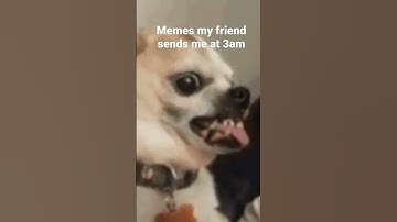 Memes my friend sends me at 3am part 2 #shorts