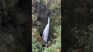 AMAZING FIND IN CORNWALL | ST NECTAN’S GLEN