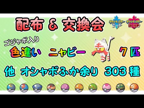 色違いニャビー 配布 選べるオシャボ孵化余り 交換会 ポケモン剣盾 Youtube