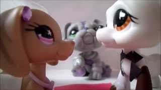 LPS: Rude: Music Video (Magic) Littlest Pet Shop LPS: Rude: Music Video (Magic) Littlest Pet Shop