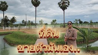 #ขายที่ดินโคกหนองนา ราคาสุดคุ้ม 200 ตร.ว 🌿🌿🌿 อู่ทอง สุพรรณบุรี วิวธรรมชาติ กลางชุมชน ปลูกบ้านในสวน