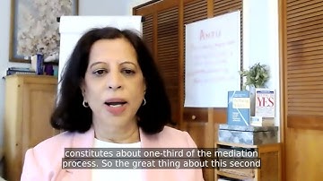 Anju Jessani: Divorce Mediation Process, Session 2 of 5, Parenting Plan