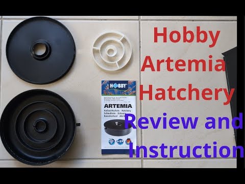 HOBBY Brine Shrimp (Artemia) Hatchery Review and Use