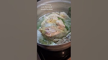 Vom Qaib Noj 11/8/2024