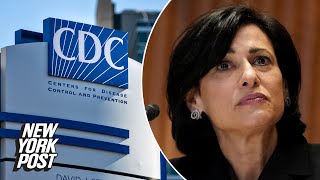 Progressive activists dominated CDC Director Rochelle Walensky’s lone ‘parent’ meeting | NY Post