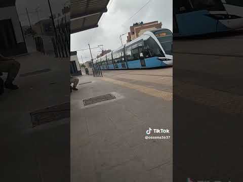 ترامواي مستغانم