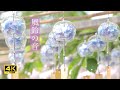 環境音ASMR 4K 3h 風鈴の音 Relaxing Sound Of Wind Chimes 環境音ASMR 4K 3h 風鈴の音 Relaxing Sound Of Wind Chimes