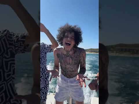 Reckol ün yeni tiktok videosu