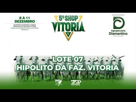 LOTE 07   LFFV 514